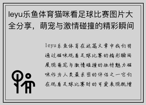 leyu乐鱼体育猫咪看足球比赛图片大全分享，萌宠与激情碰撞的精彩瞬间