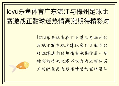leyu乐鱼体育广东湛江与梅州足球比赛激战正酣球迷热情高涨期待精彩对决